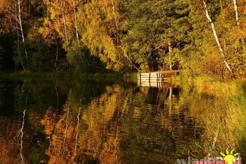 Jezioro Dobre Pomorskie: piękne miejsce na wędkowanie i wypoczynek