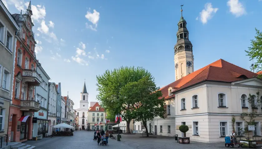 Zielona Góra – w jakim województwie leży i co warto wiedzieć o regionie